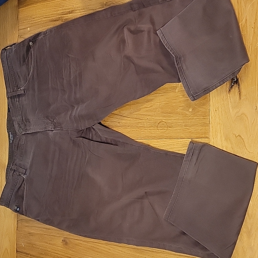 AG Adriano Goldschmeid women's 42 waist The Graduate tailored leg brown pants